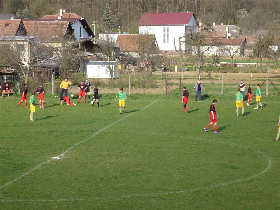 P1000363.jpg